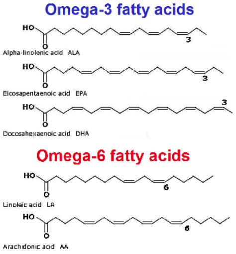 chemical structure of omega 3 fatty acid|is omega 3 monounsaturated fat.